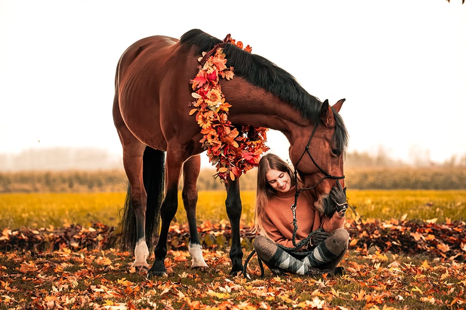 Woman sitting in autumn leaves beside her bay horse